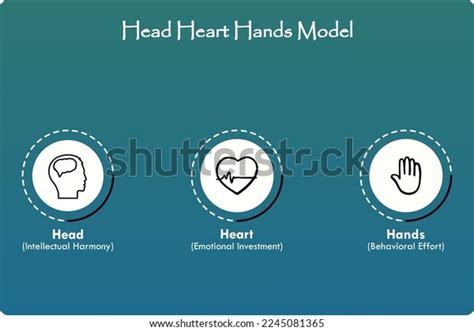 Head Heart Hands Model Icons Infographic Stock Vector (Royalty Free ...