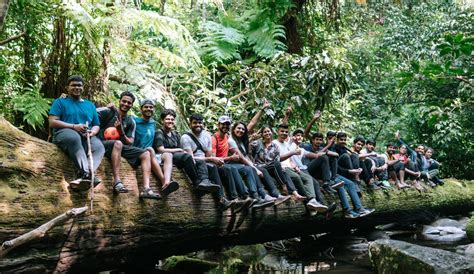 Wayanad Trek and Camping | Plan the Unplanned