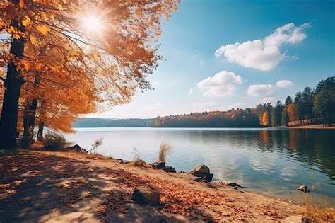 Premium Photo | Park in autumn with a lake