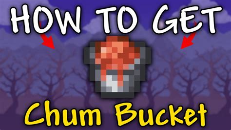 How to Get Chum Bucket in Terraria | Chum Bucket Terraria - YouTube