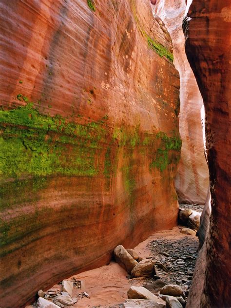 Sand Wash (Red Cave), Zion National Park, Utah