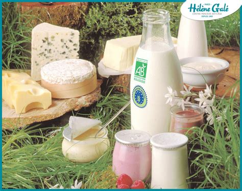 Quels sont les produits laitiers fermentés ? – PlaneteFemmes : Magazine ...