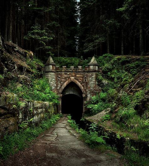 lori-rocks: “ ancient bohemian forest road, czech republic…. by ralph ...