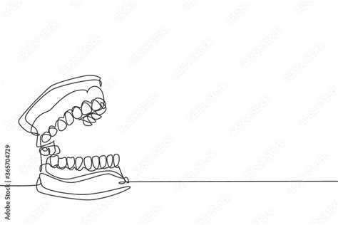 One continuous line drawing of anatomical complete adult human teeth ...