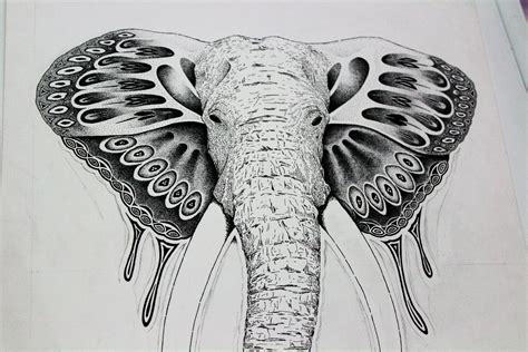 Flying Elephant on Behance