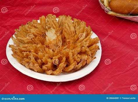 Carnival Food stock image. Image of fried, appetizer - 28664081