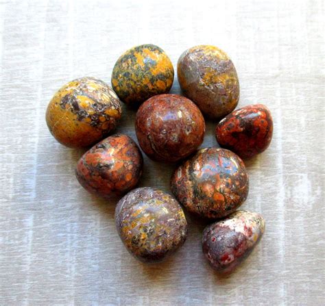 Leopardskin Jasper Leopardskin Jasper Tumble Jasper