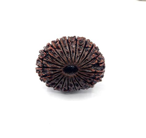 Understanding Rudraksha Types and Benefits - Gems Aspire