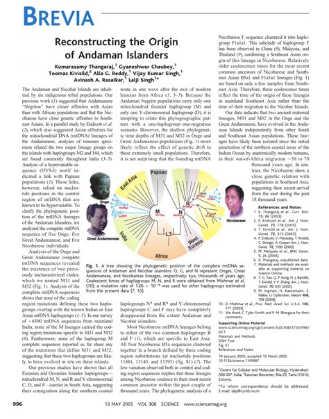 (PDF) Reconstructing the Origin of Andaman Islanders