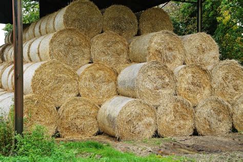 Circular Hay Bales In A Barn Stock Image - Image of stacks, bales: 17927845