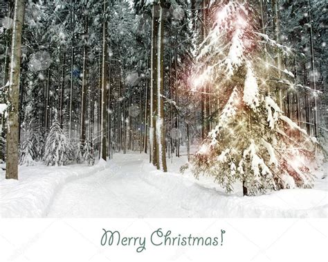 Snowy forest with a shining Christmas tree — Stock Photo © hofhauser #34392855