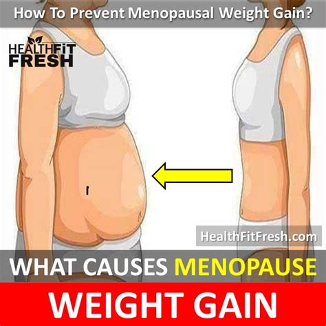 Menopause Weight Gain: What Causes Menopause Weight Gain: Prevention ...