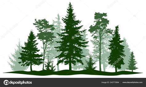 Pine Tree Forest – Telegraph