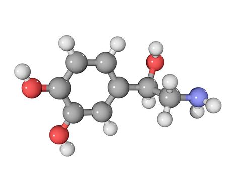 Norepinephrine Neurotransmitter Molecule Photograph by Laguna Design