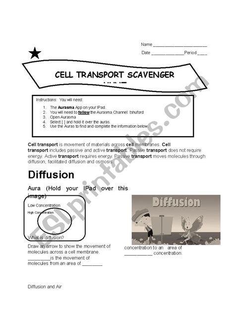 Passive And Active Transport Worksheet - Proworksheet.my.id