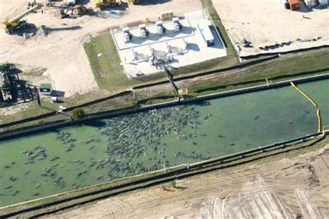 Manatee Habitat | FWC