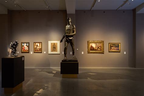 M-Museum Leuven Reopens with Renewed Galleries - CODART