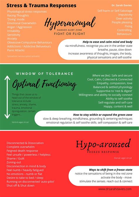 What is 'Window of Tolerance'? emotional regulation model explained