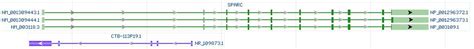 SPARC Gene cDNA ORF clone, Homo sapiens(human) | GenScript