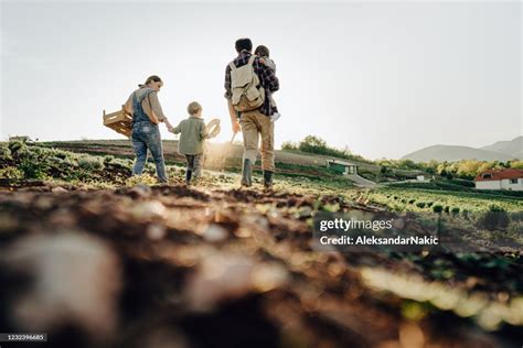 Farm Life High-Res Stock Photo - Getty Images