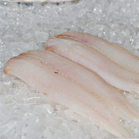 Fresh Haddock Fillets | Glasgow's Fish Plaice | UK Delivery