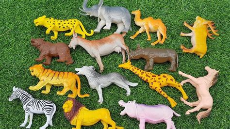 Wild Animals For Kids, Review Toys and Learning Name Zoo Animal Toys Col... | Pet toys, Animals ...