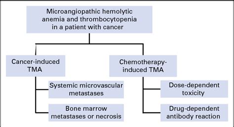 Figure 1 from Microangiopathic Hemolytic Anemia and Thrombocytopenia in Patients With Cancer ...