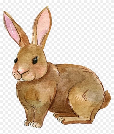 Clipart Unbelievable Clipart Rabbit Png Transparent - Rabbit Clipart ...