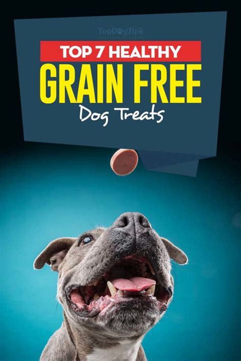 Top 7 Best Grain Free Dog Treats in 2018