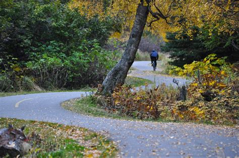 Kincaid Park | Visit Anchorage