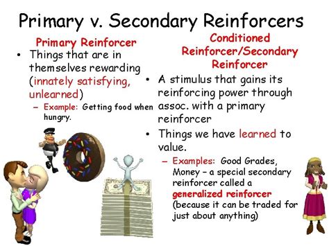 Primary Reinforcer Vs Secondary Reinforcer | Sparkhouse