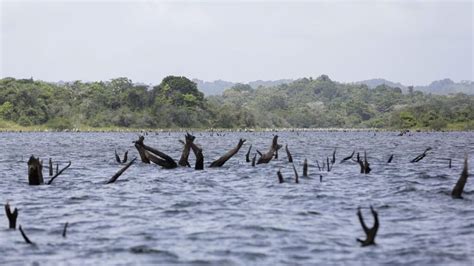 Impact of the Drought on the Panama Canal – Panama Canal Transits and Beyond