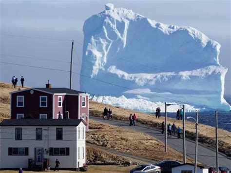 Watch: Giant iceberg drifting towards Canada’s Newfoundland - Trending News