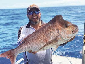 Tin Can Bay fishing refreshed - Bush 'n Beach Fishing Magazine