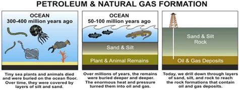 Coal and Petroleum CBSE Class 8 Science - Chapter 5