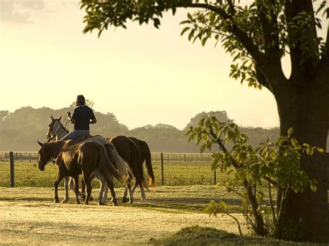 Argentina: From Buenos Aires to the wilds of the pampas | The Independent