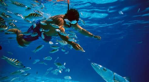 5 lugares para practicar buceo y snorkeling en Cozumel - Aquaworld