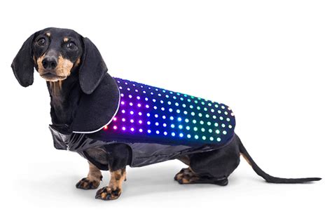 Dog Vest With Disco LED Lights – Smartphone Controlled - Legit Gifts