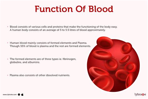 Blood: Cells, Functions, Diseases, Treatments, Medicines and More