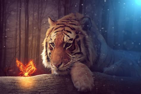 Tiger Dreamy Art Wallpaper,HD Artist Wallpapers,4k Wallpapers,Images ...