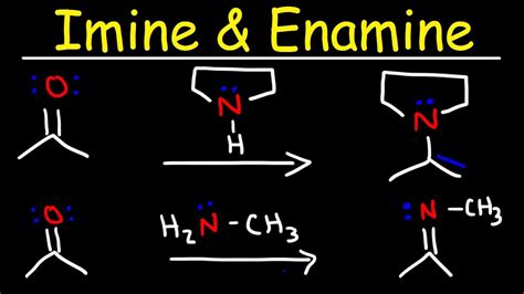 Imine and Enamine Formation Reactions With Reductive Amination - YouTube