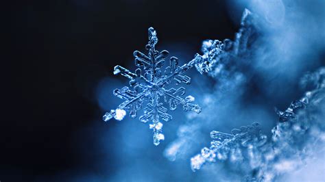 Real Snowflake – Bing Wallpaper Download