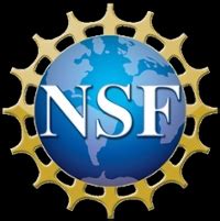 National Science Foundation - REU | Texas A&M University Kingsville