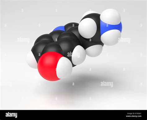 Serotonin molecule Computer model showing the structure of a molecule of the neurotransmitter ...