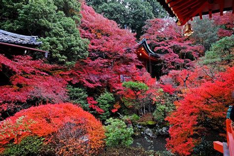 Free stock photo of japan, kyoto, temple