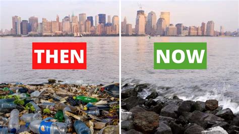 NYC is Cleaning Up The Hudson River – here’s why - YouTube