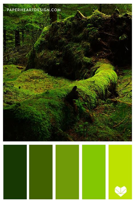Gorgeous Green Moss Color Palette