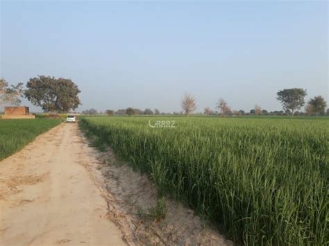 Agricultural Land for Sale | Agricultural Land Available for Sale in Pakistan