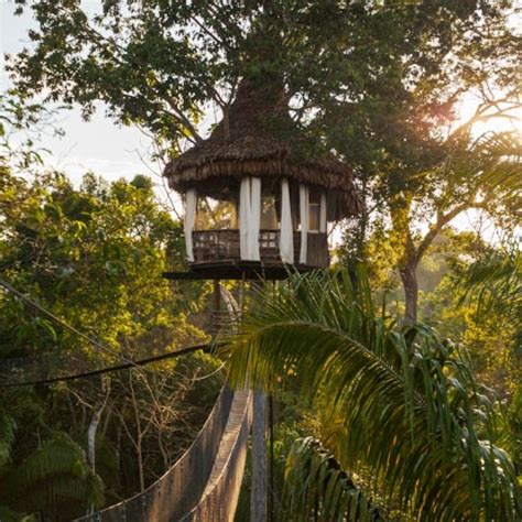 Treehouse Lodge The Amazon Iquitos Peru