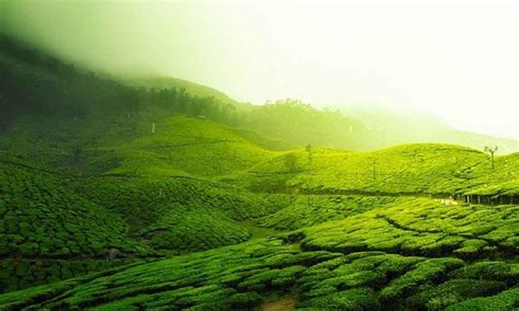 13 Rekomendasi Tempat Wisata Alam Bandung Raya, Segar! - Posbaru